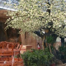 鼎艺博美 假树  仿真树  古榕树  各种仿真树  装饰树  等景观工程