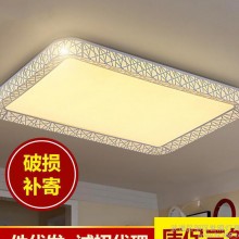 新款创意鸟巢客厅卧室LED长方形吸顶灯 现代简约LED亚克力吸顶灯