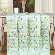 厂家批发印花磨毛夏凉被 钻石绒空调被子 学生被夏被 特价礼品