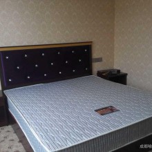 酒店宾馆床垫弹簧席梦思 天然椰棕床垫卧室酒店双人席梦思定制