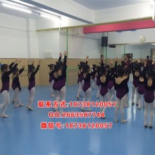 pvc地板批发 地胶 舞蹈批发 pvc地板