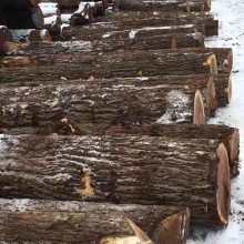 美国进口黑胡桃原木 0面清 1面清  月供5柜 美式家具好材