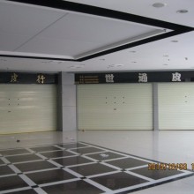 中泰 欧式静音卷闸门  型号：ZT0011 超静音 色彩任意搭配  坚固耐用  防盗性高,适用于别墅、铺面、厂房、车库等