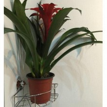 专业厂家生产 三角架角篮浴室挂件置物架 多功能拉篮