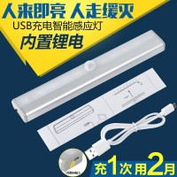 智能感应灯批发 供应创意新奇特地摊新产品卡通光控小夜灯 LED灯