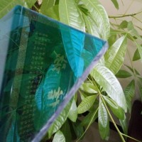 新疆PC耐力板  雨棚板 耐力板5mm 耐力板 PC板加工 可定制