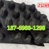 2公分凹凸型排水板 屋顶绿化蓄排水板