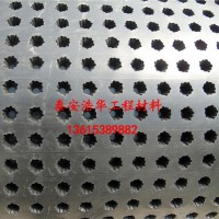 排水板批发、排水板厂家，排水板批发，泰安浩华工程材料，价格详谈，欢迎选购