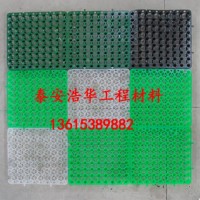 泰安浩华工程材料，浩华H20mm多种蓄排水板排水板隔根层