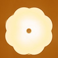 led餐吊灯现代简约亚克力圆形灯饰客厅灯卧室书房阳台灯具批发