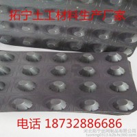 拓宁排水板【柔韧性好】厂家直销各种蓄排水板 屋顶绿化用蓄排水板产