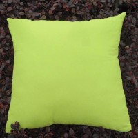 厂家直销卓昕抱枕，形象抱枕，特价抱枕 diy抱枕 可定做