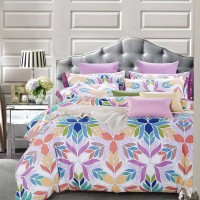 2016春夏新款纯棉斜纹印花四件套 热卖床上用品套装舒适面料