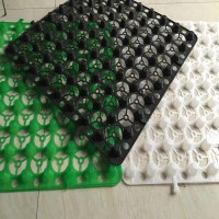 四川省内江市 排水板 塑料排水板 排水板厂家