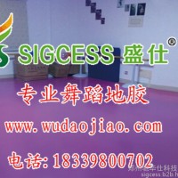 舞蹈塑胶地板 舞蹈室专用橡胶地板 舞蹈室专用塑胶地板 舞蹈室专用地胶 舞蹈室专用地板买什么牌子