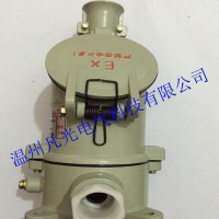 防爆插头插座，工业插销，AC系列防爆插销