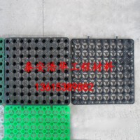 梧州市隧道用塑料排水板选浩华厂家直销