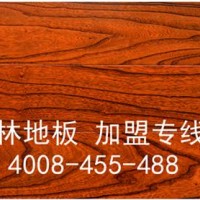 西藏地热地暖地板诚招优质加盟