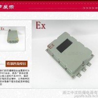 中沈防爆byb 隔爆型防爆仪表箱300x400x180 内转探测仪 带玻璃视窗 仪表支架 ip55 BT5
