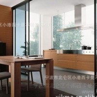 宁波橱柜长期橱柜门质优价廉 整体厨房抗指纹不锈钢柜体