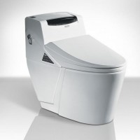 供应智能坐便器QY-C0301