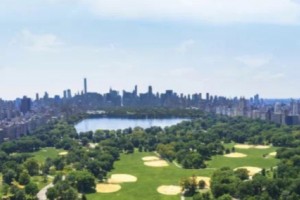 城市新物种登临让你大开眼界