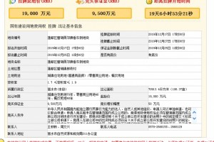 丽水市碧湖又有大地块挂牌出让了这是预备炒碧湖版块了